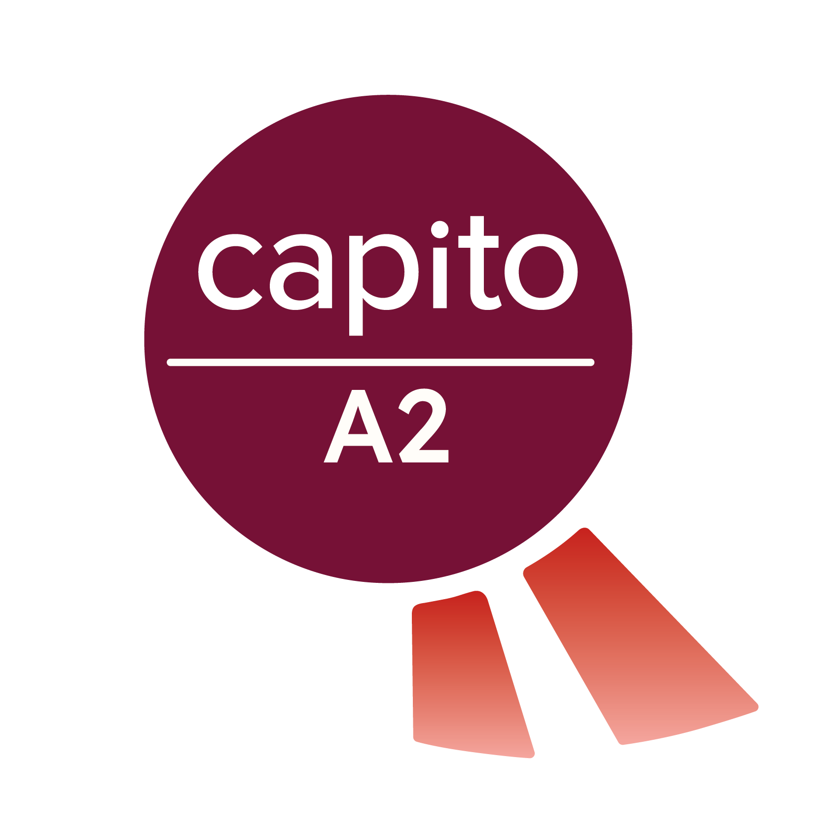 Capito Gütesiegel Sprachlevel A2